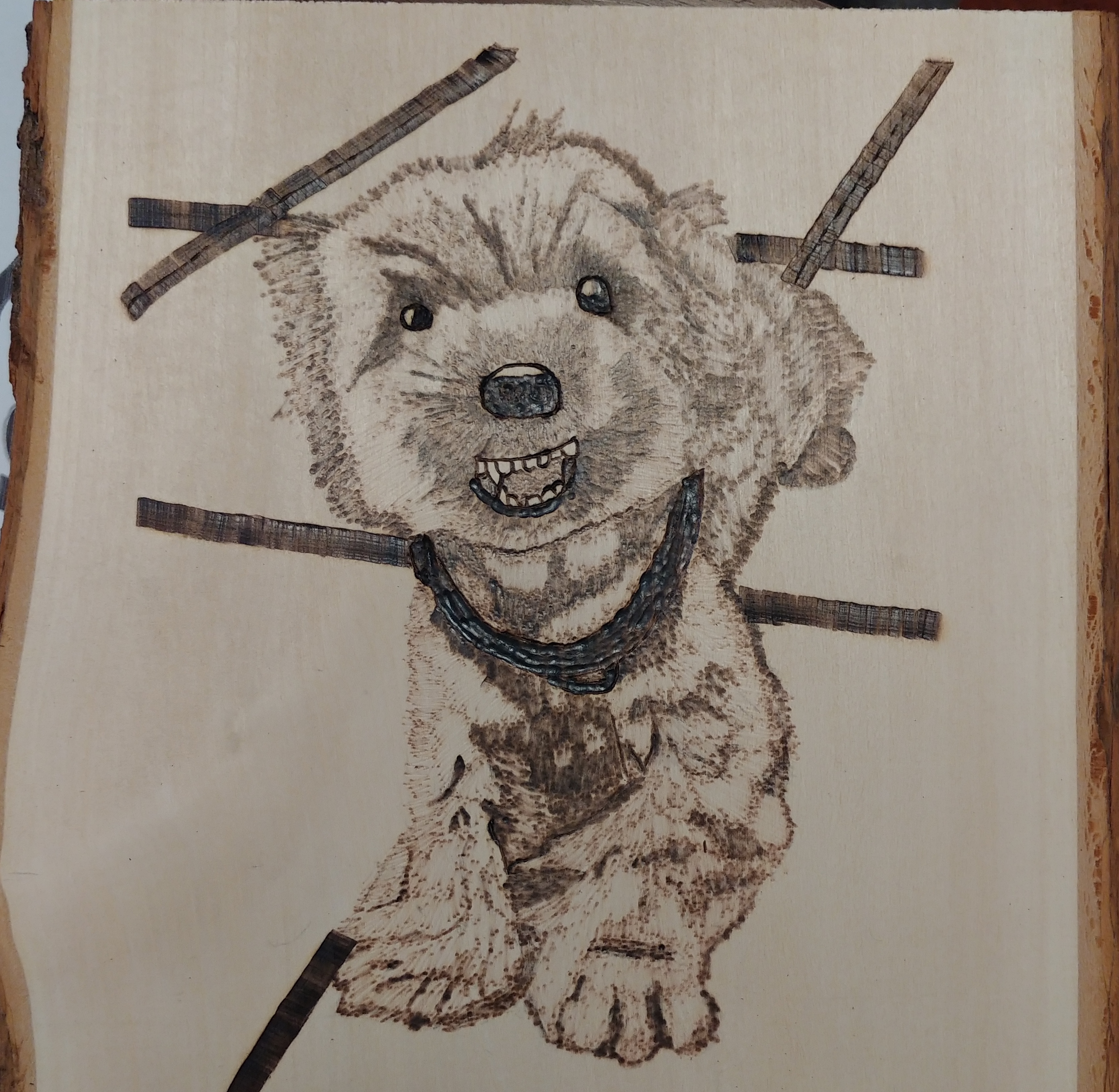 Wood Burned Portrait - Lucky